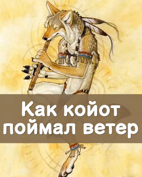 Как койот поймал ветер
