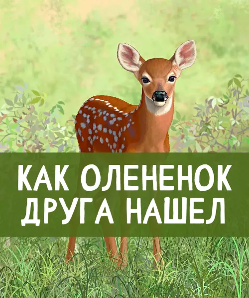 Как оленёнок друга нашел