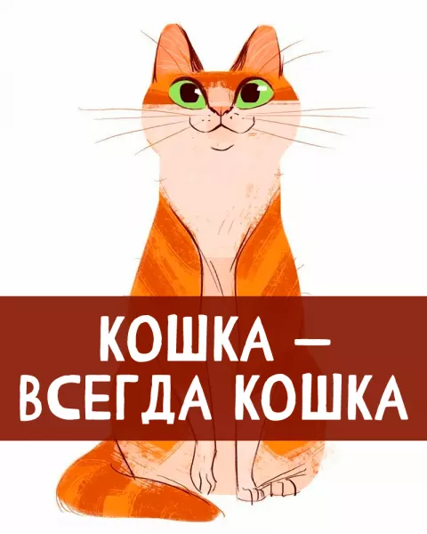 Кошка – всегда кошка