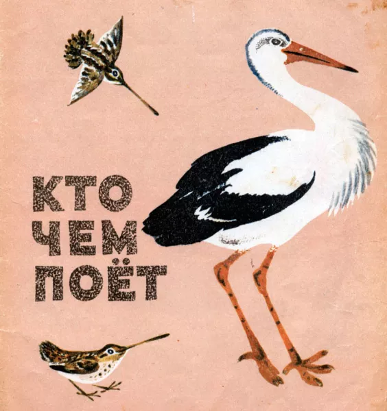 Кто чем поёт?