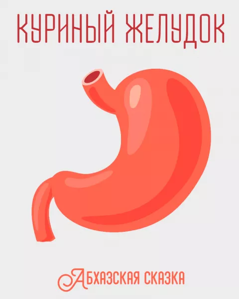 Куриный желудок