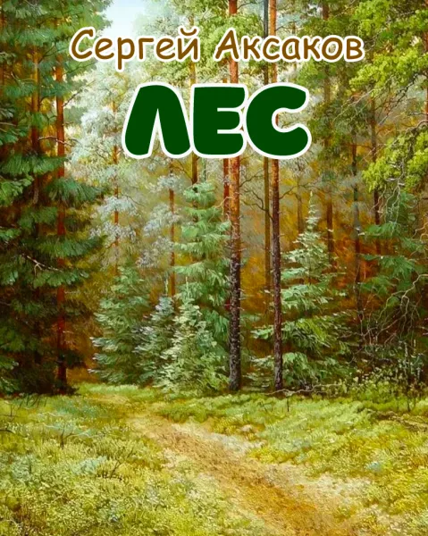 Лес