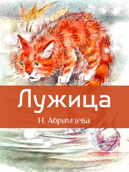 Лужица