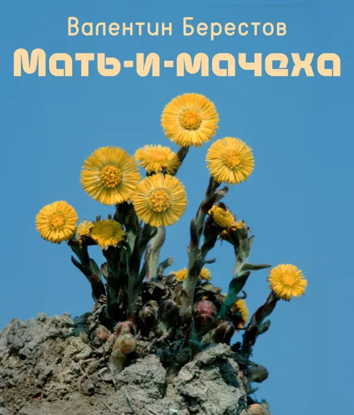 Мать-и-мачеха