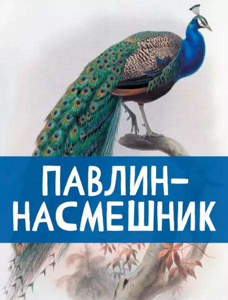 Павлин-насмешник