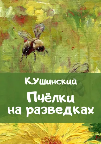 Пчёлки на разведках