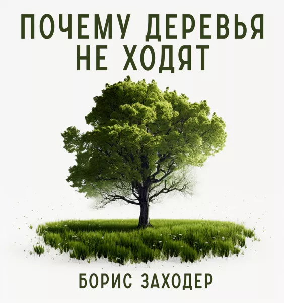 Почему деревья не ходят