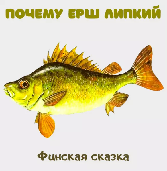 Почему eрш липкий