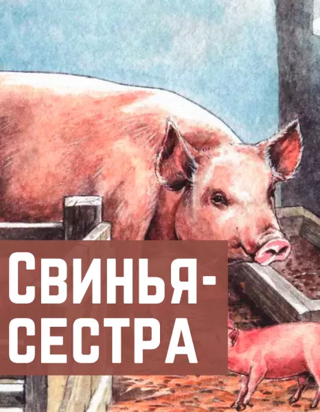 Свинья-сестра