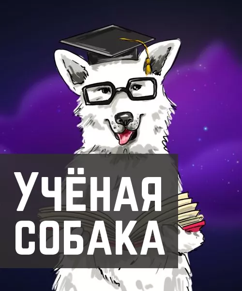 Ученая собака