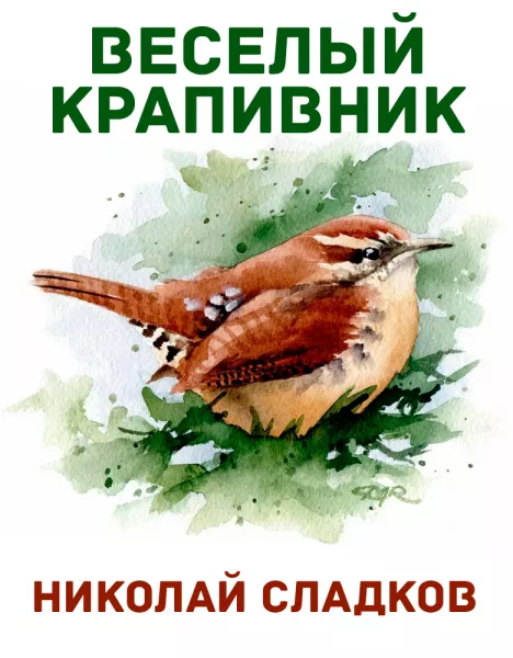 Веселый крапивник