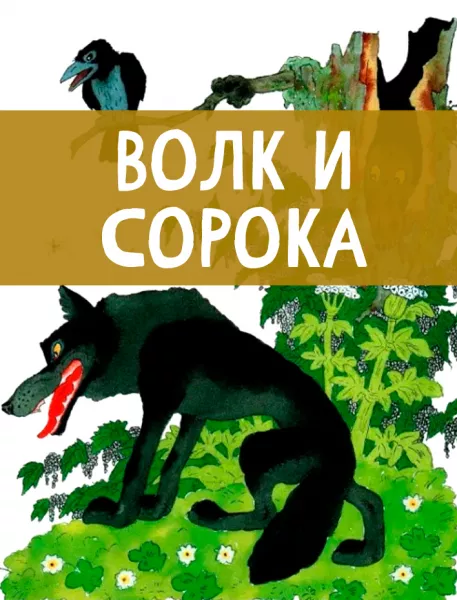 Волк и сорока