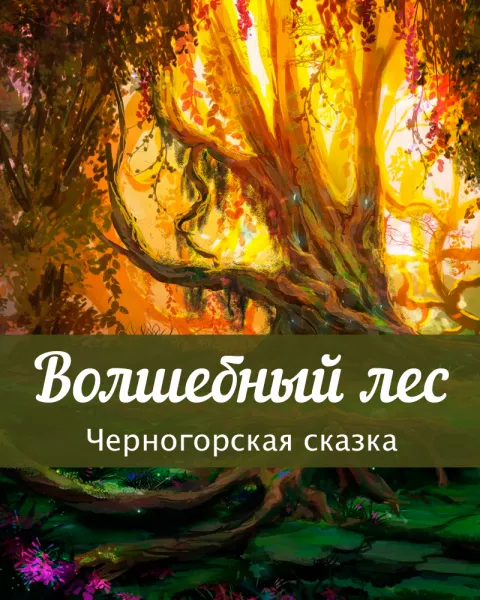 Волшебный лес