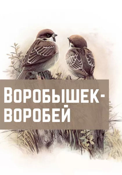 Воробышек-воробей