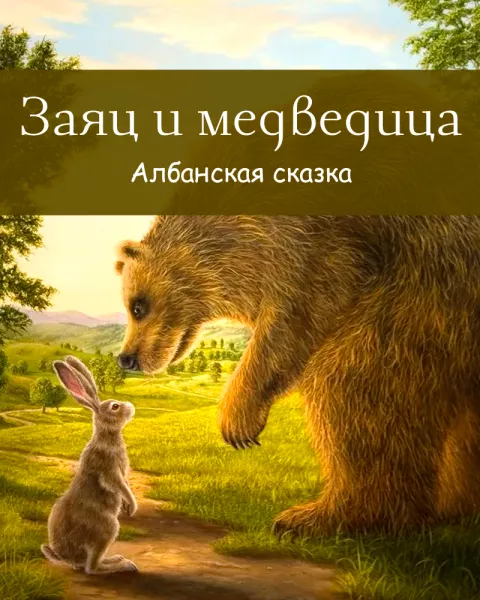 Заяц и медведица